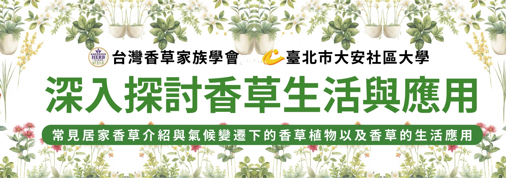 深入探討香草生活與應用