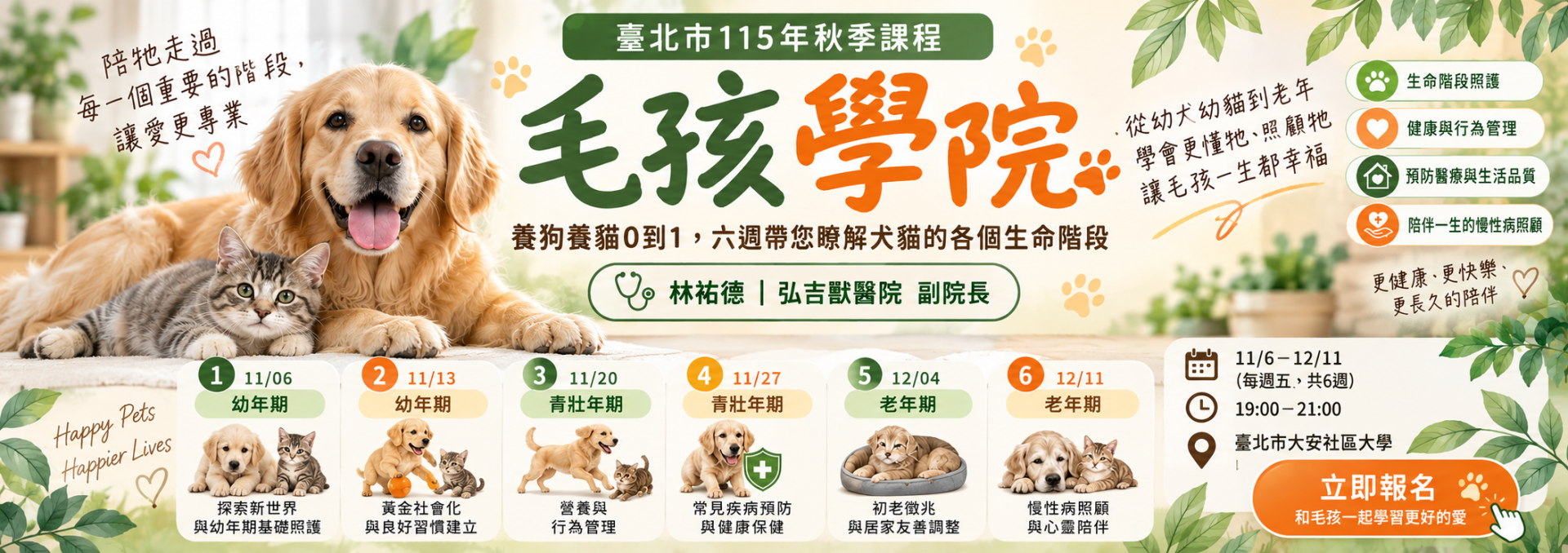 養狗養貓0到1,六週帶您瞭解犬貓的各個生命階段