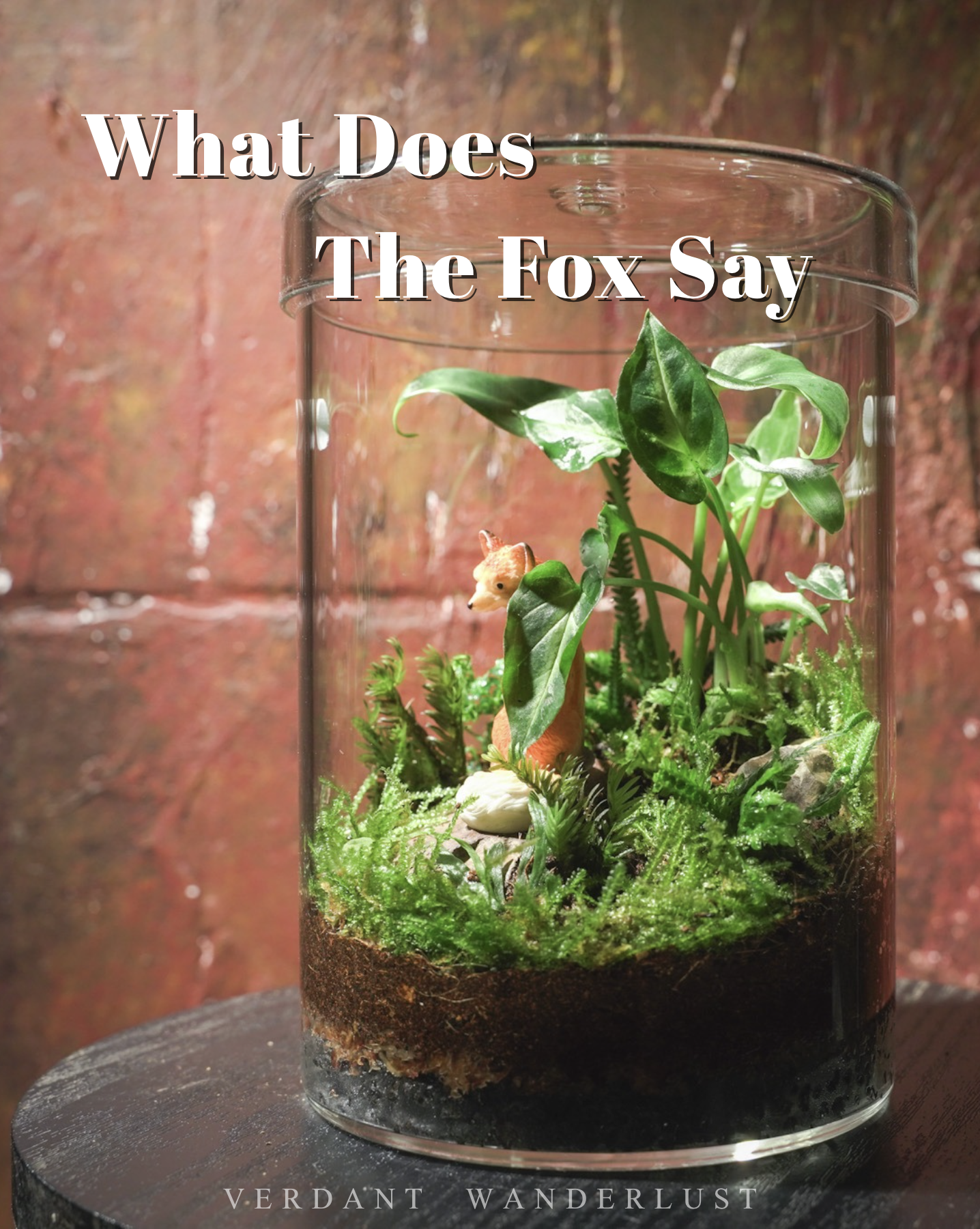 掌中綠意與造景美學-初階