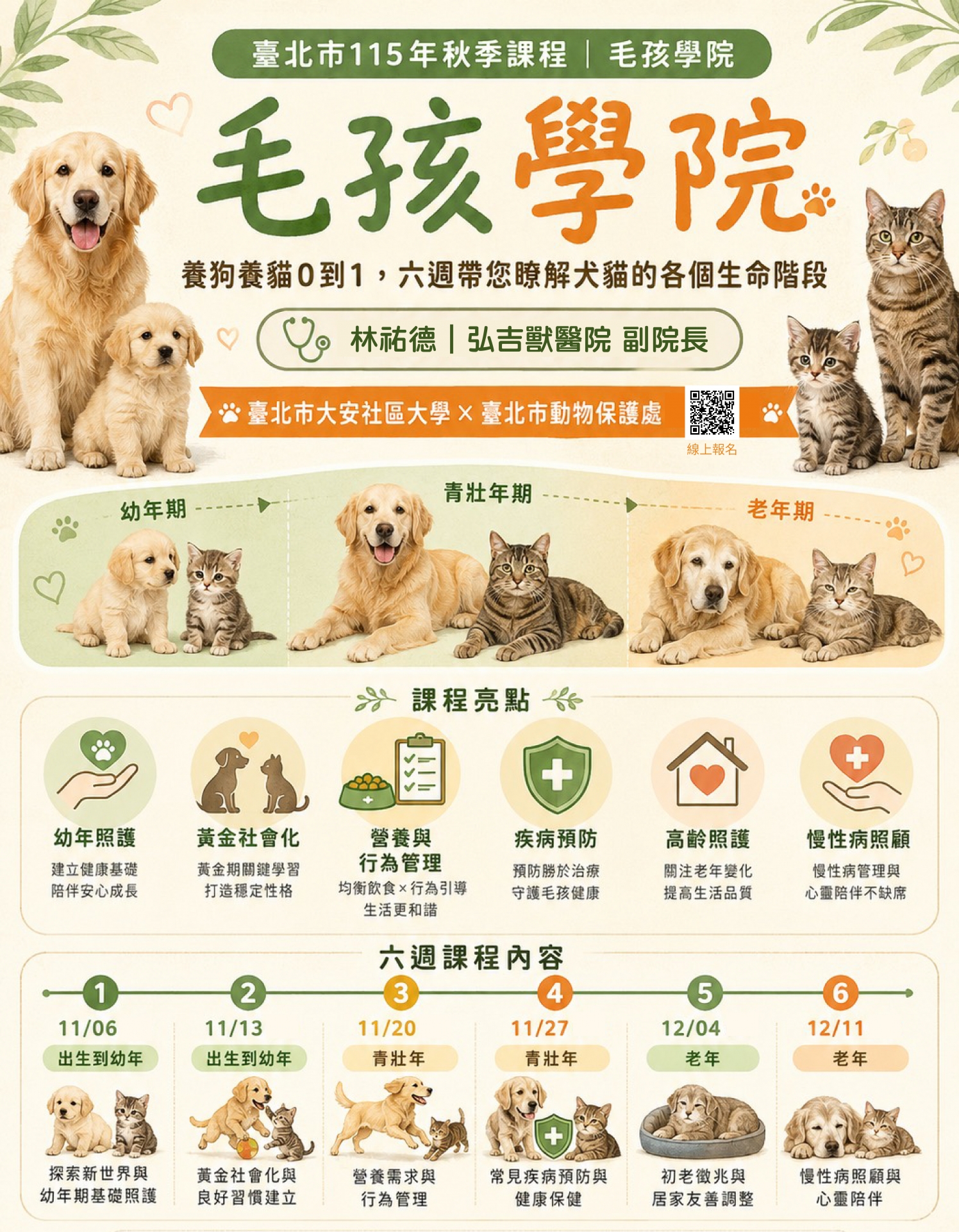 ◎養狗養貓0到1,六週帶您瞭解犬貓的各個生命階段