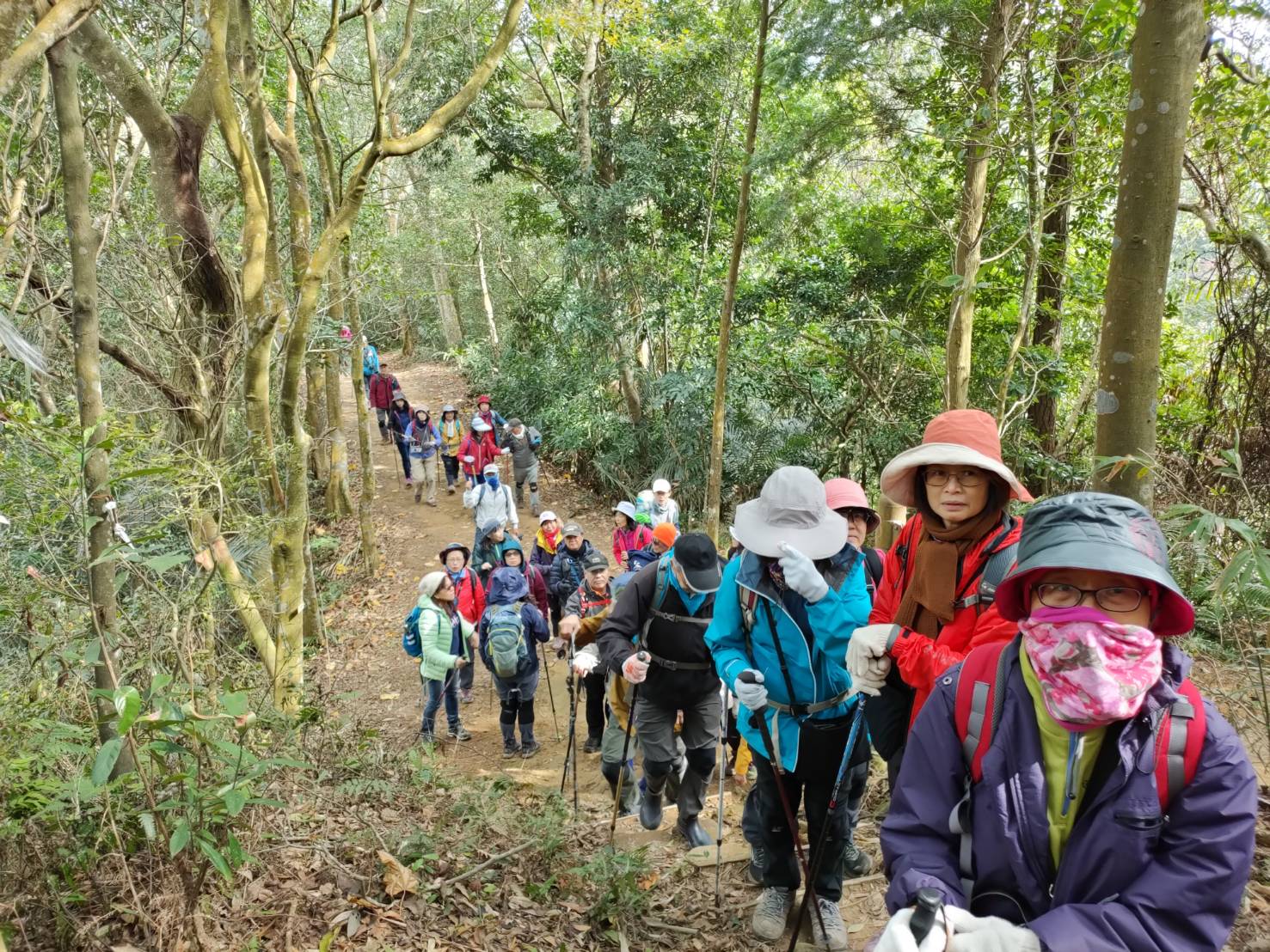 山岳博物學-山林博物學及走讀