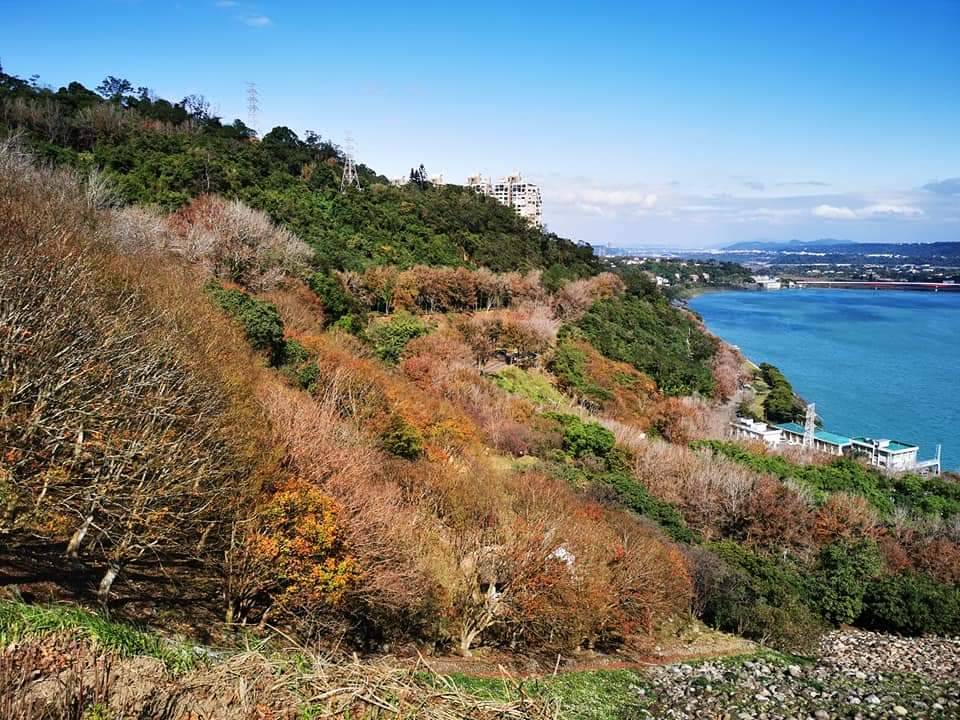 山岳博物學-山林博物學及走讀