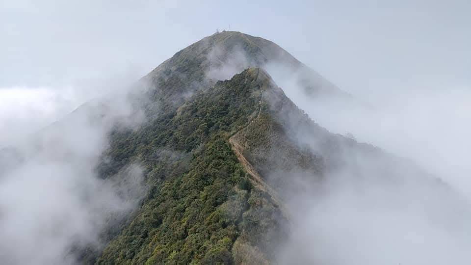 山岳博物學-山林博物學及走讀