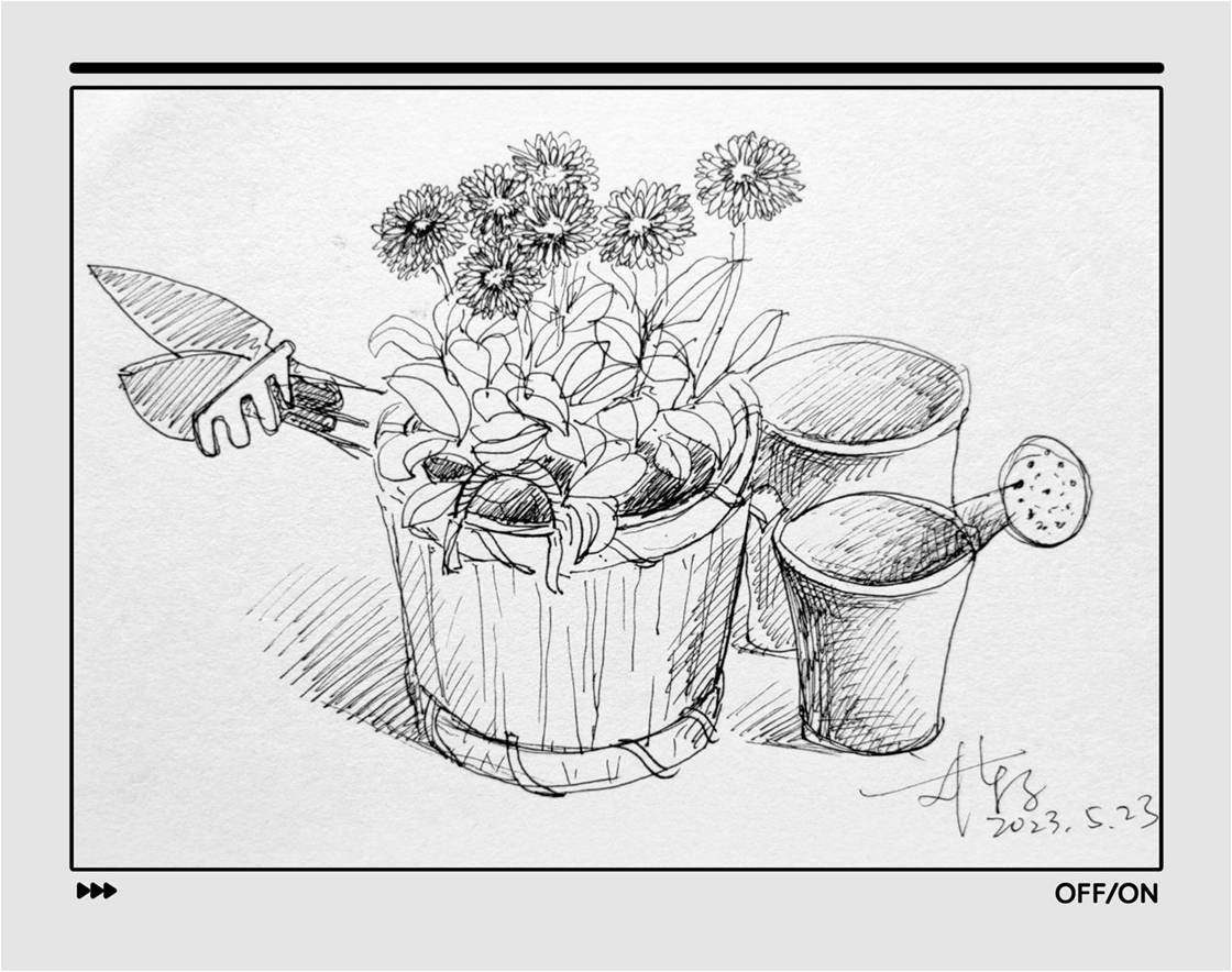 手繪黑白速寫(一)靜物篇