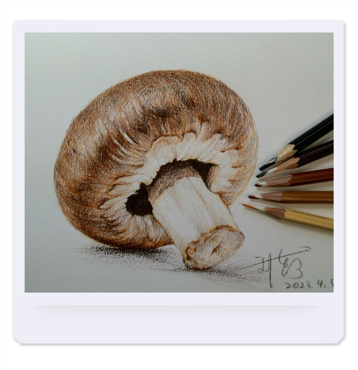 精彩萬鉛-蔬果篇