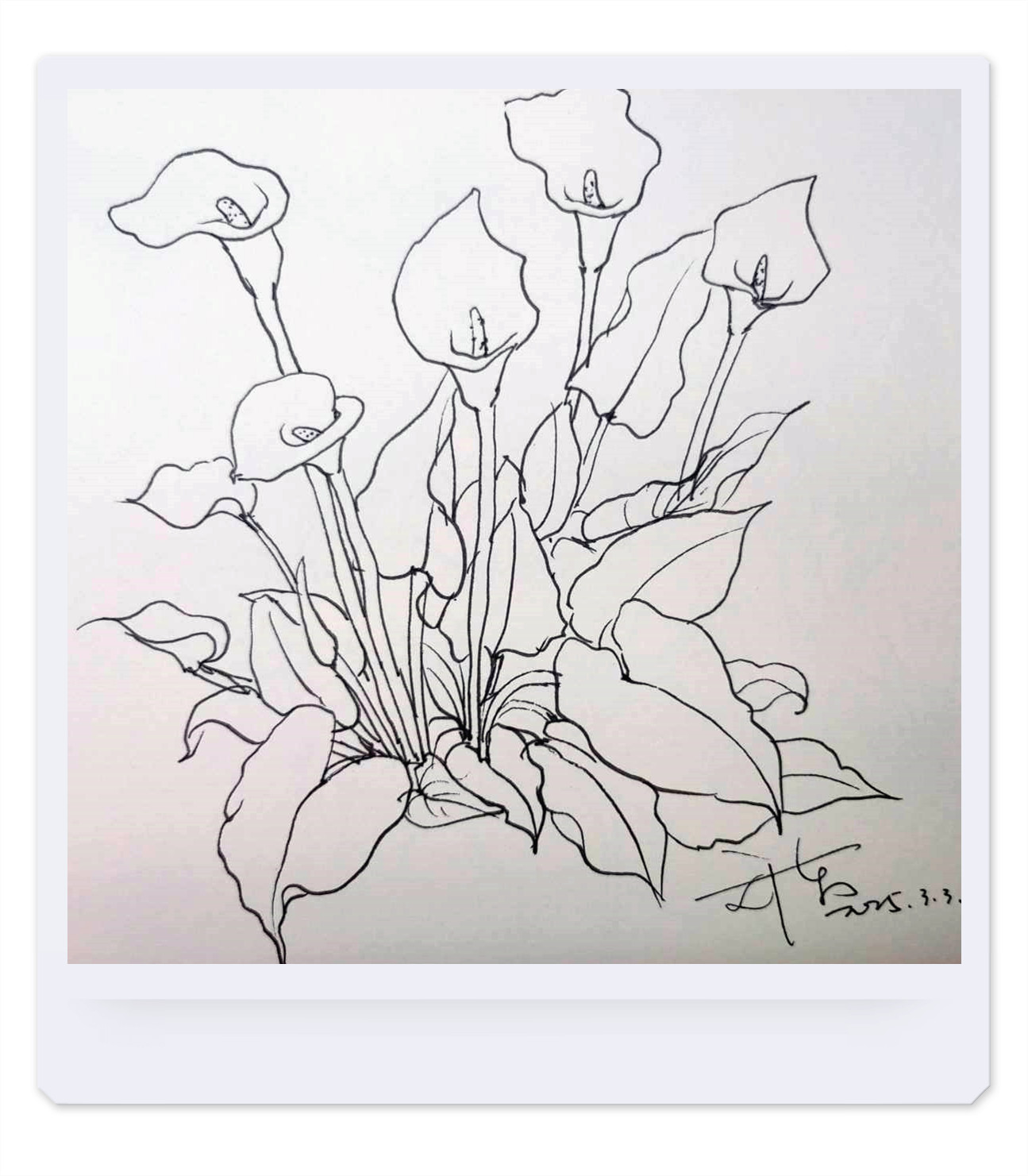 手繪黑白速寫綜合篇-春夏圓舞曲