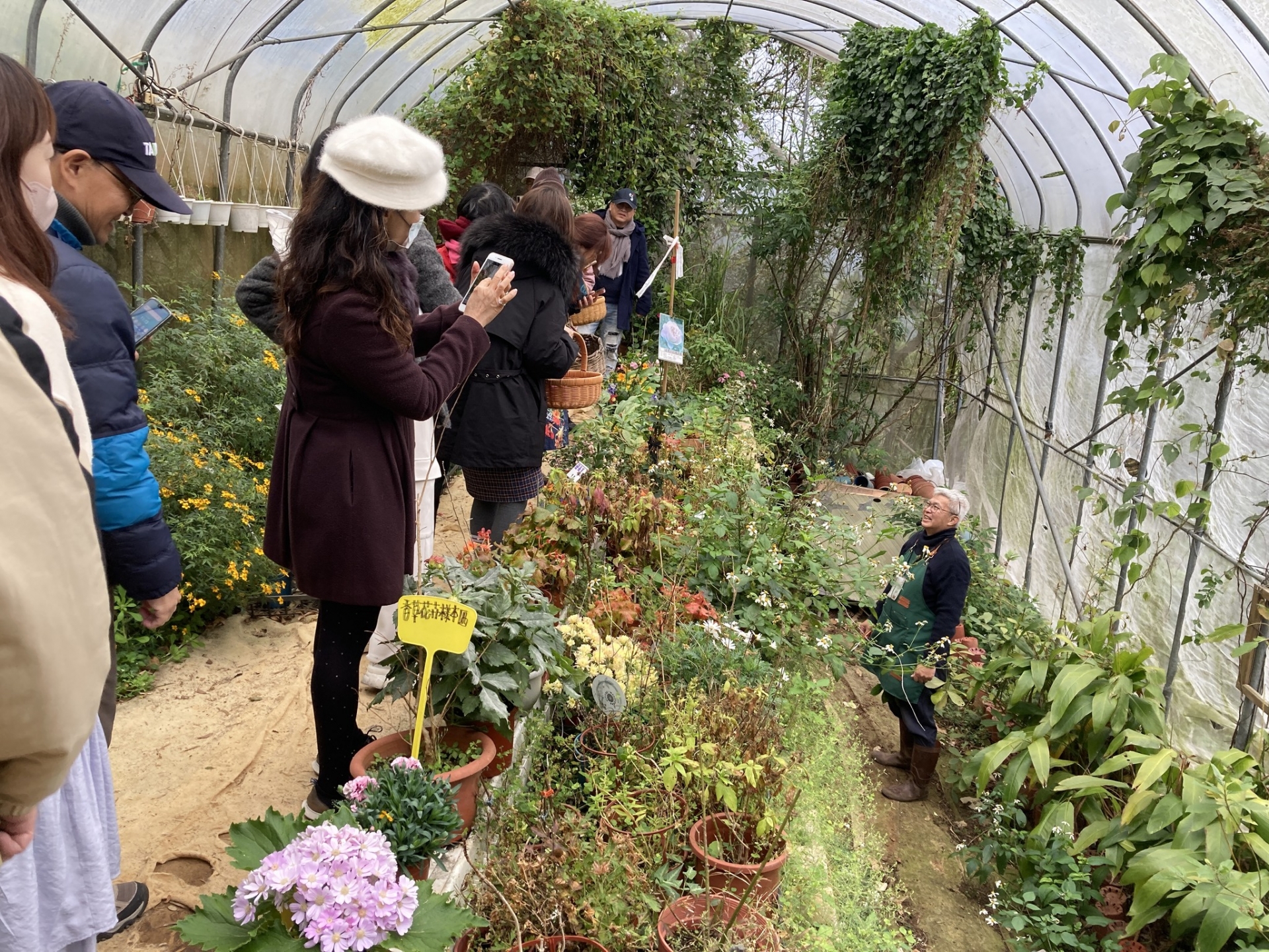 ㊣居家香草生活