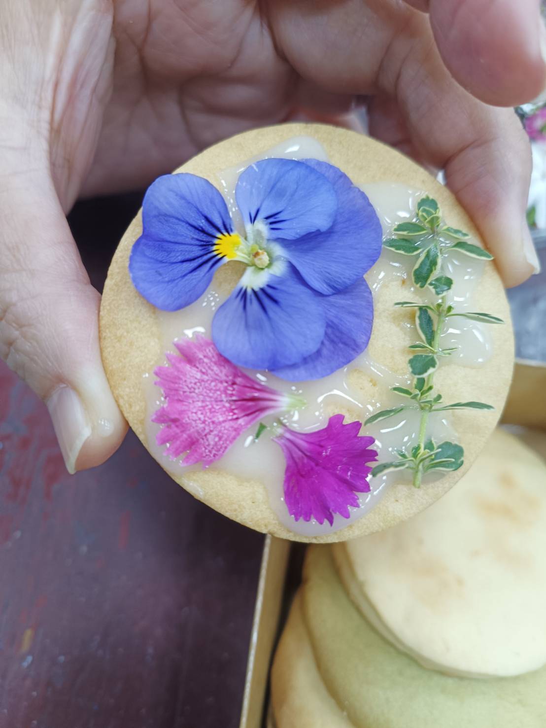 香草玩家樂趣多