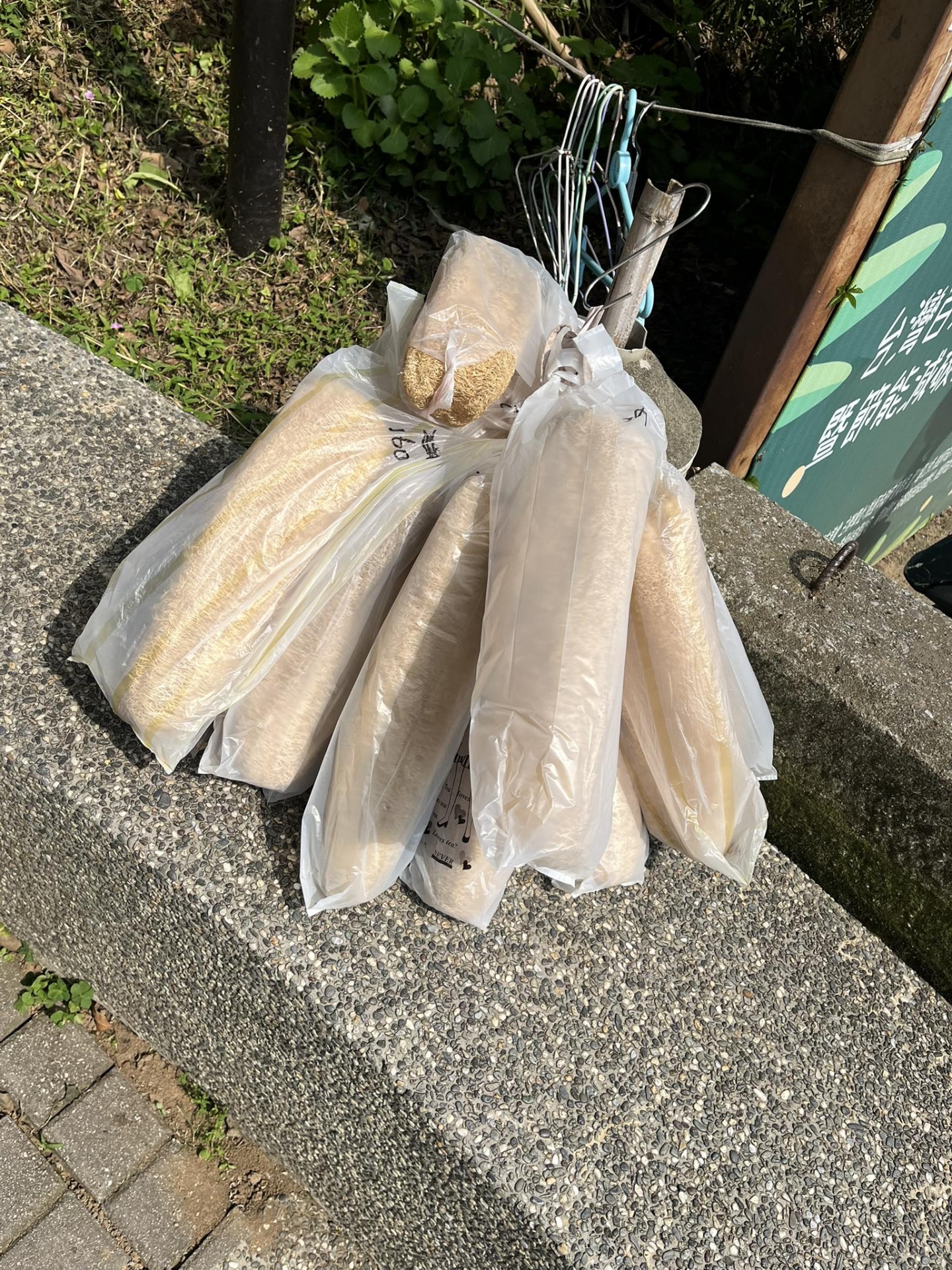 城市中的低碳綠生活-零廢棄生活習作