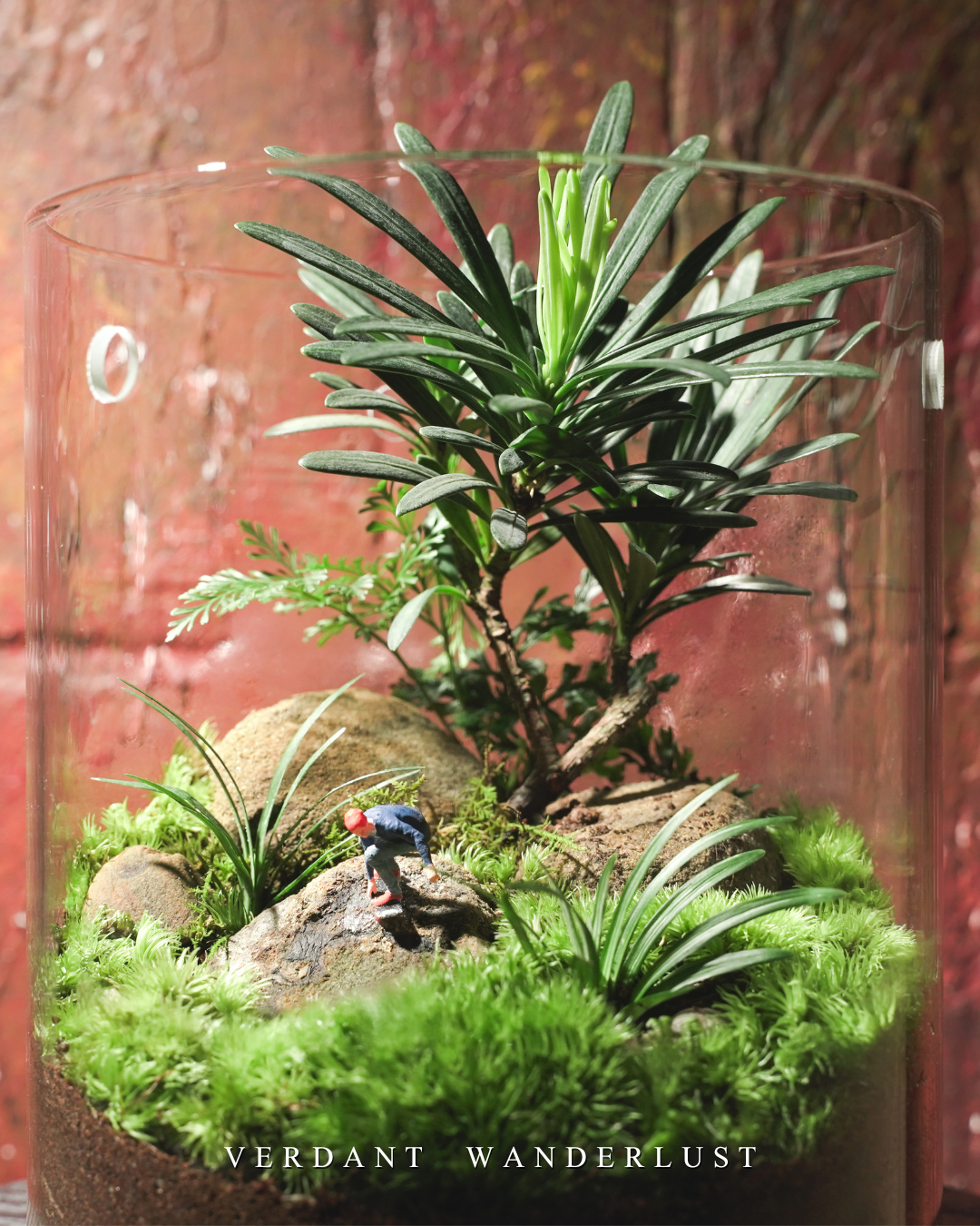 掌中綠意與造景美學-初階