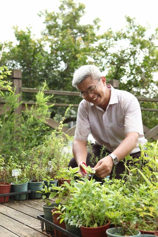 蒔花弄草放輕鬆-居家香草生活