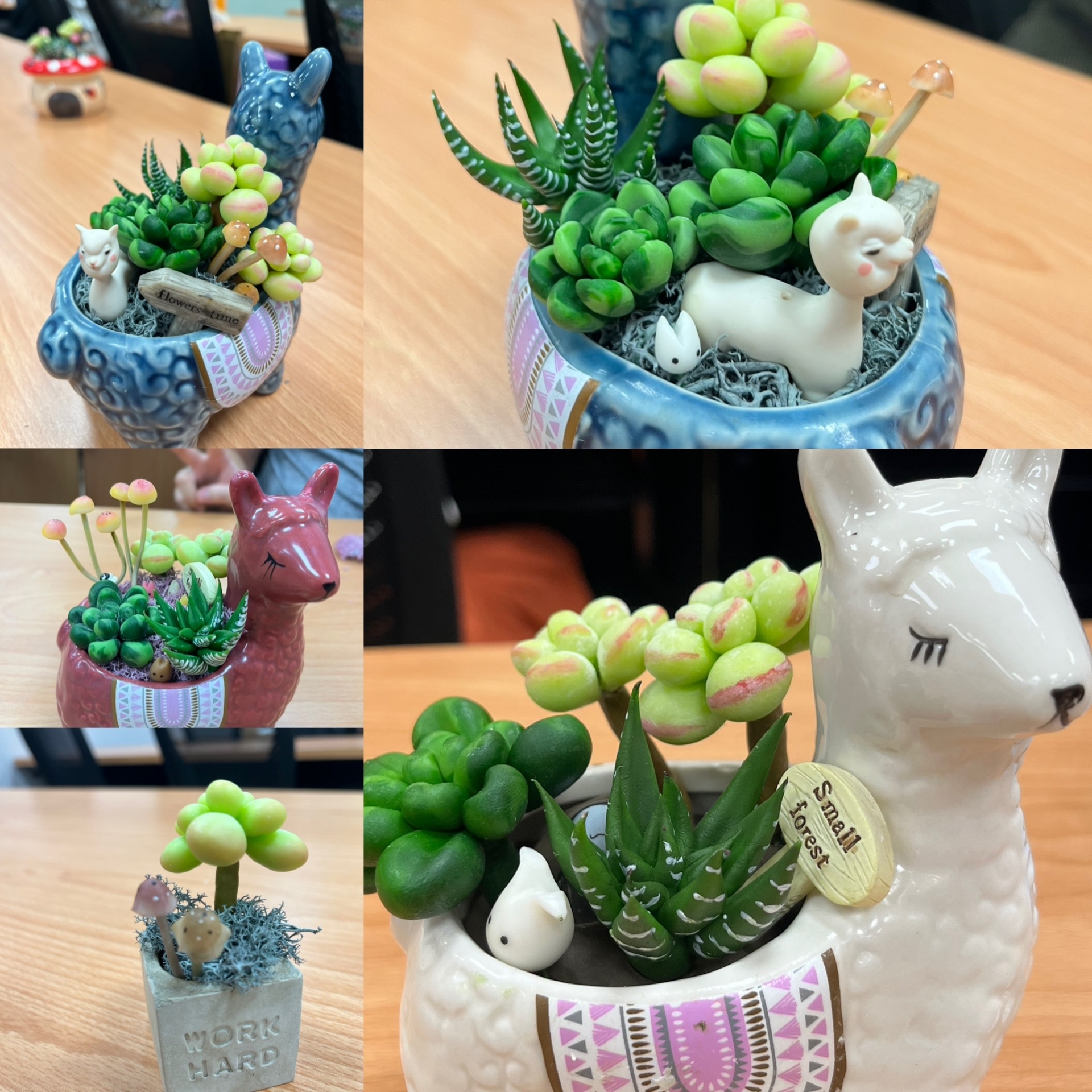 黏土捏塑-仿真多肉植物系列