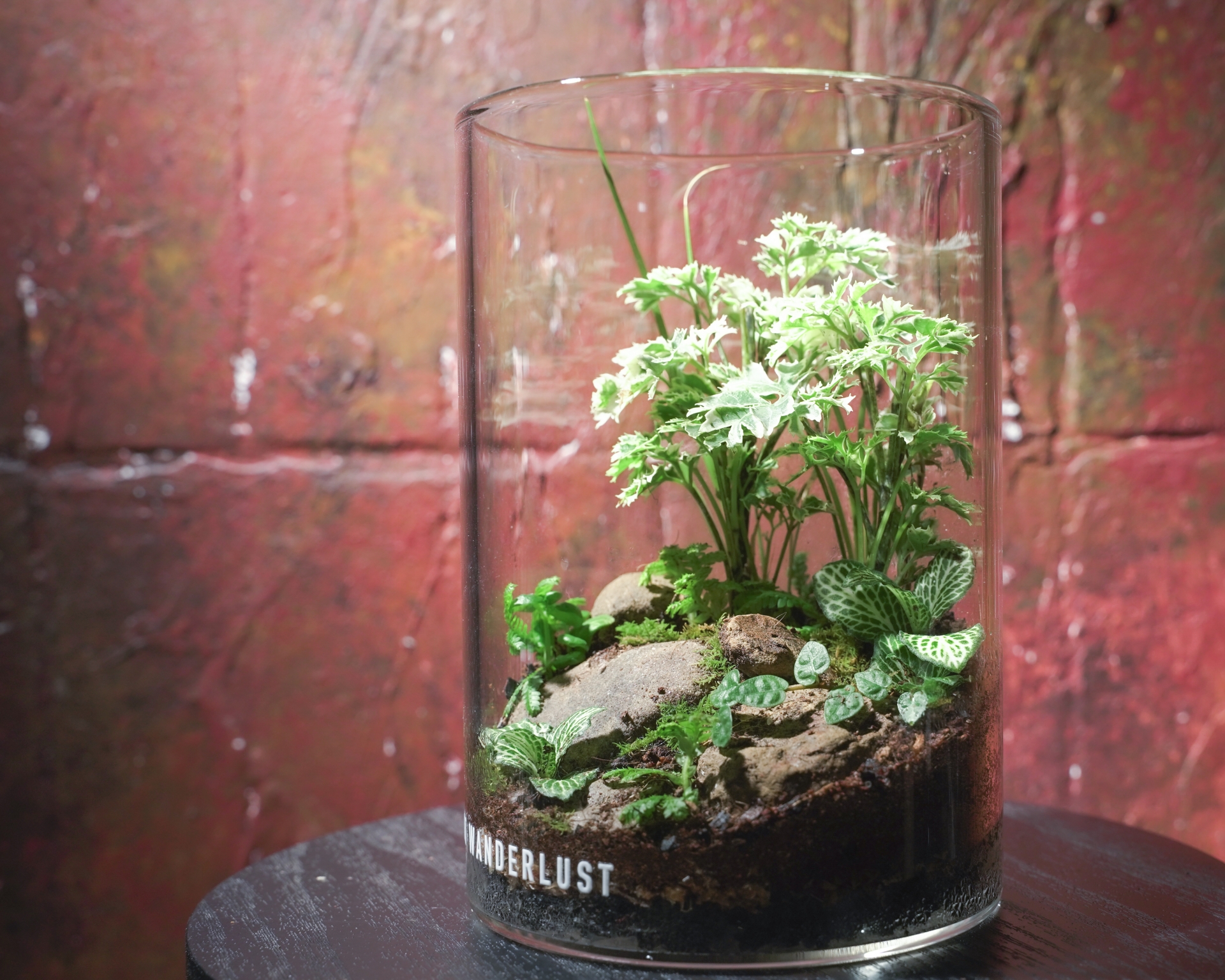 掌中綠意與造景美學-初階