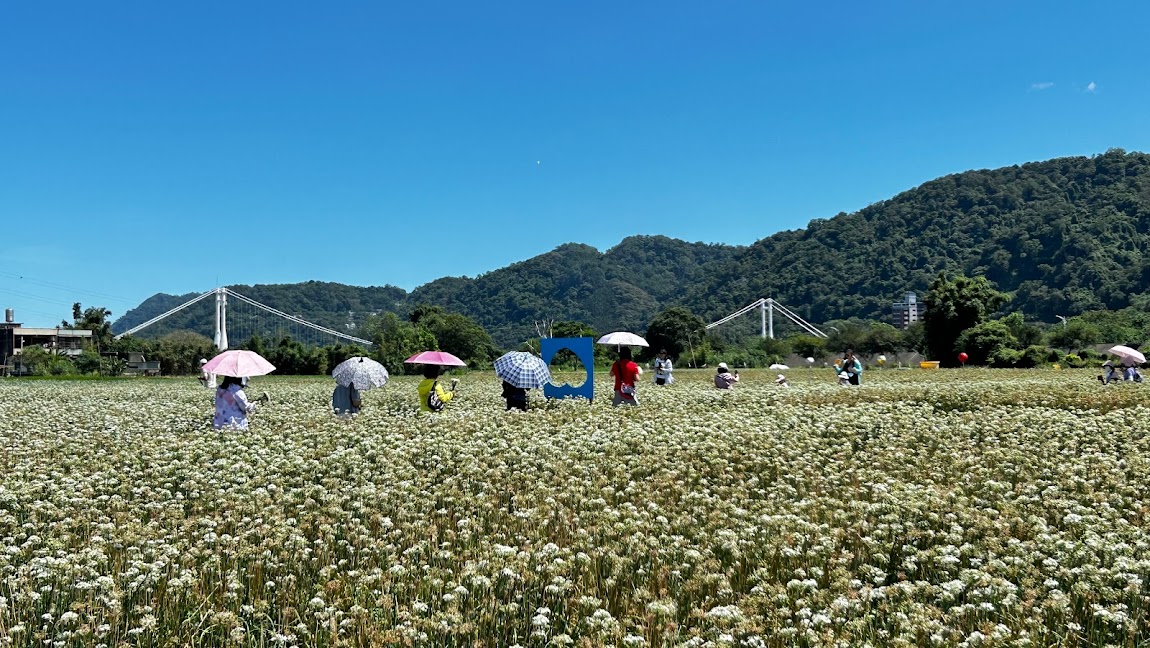 低碳輕旅行Candy帶你散步趣