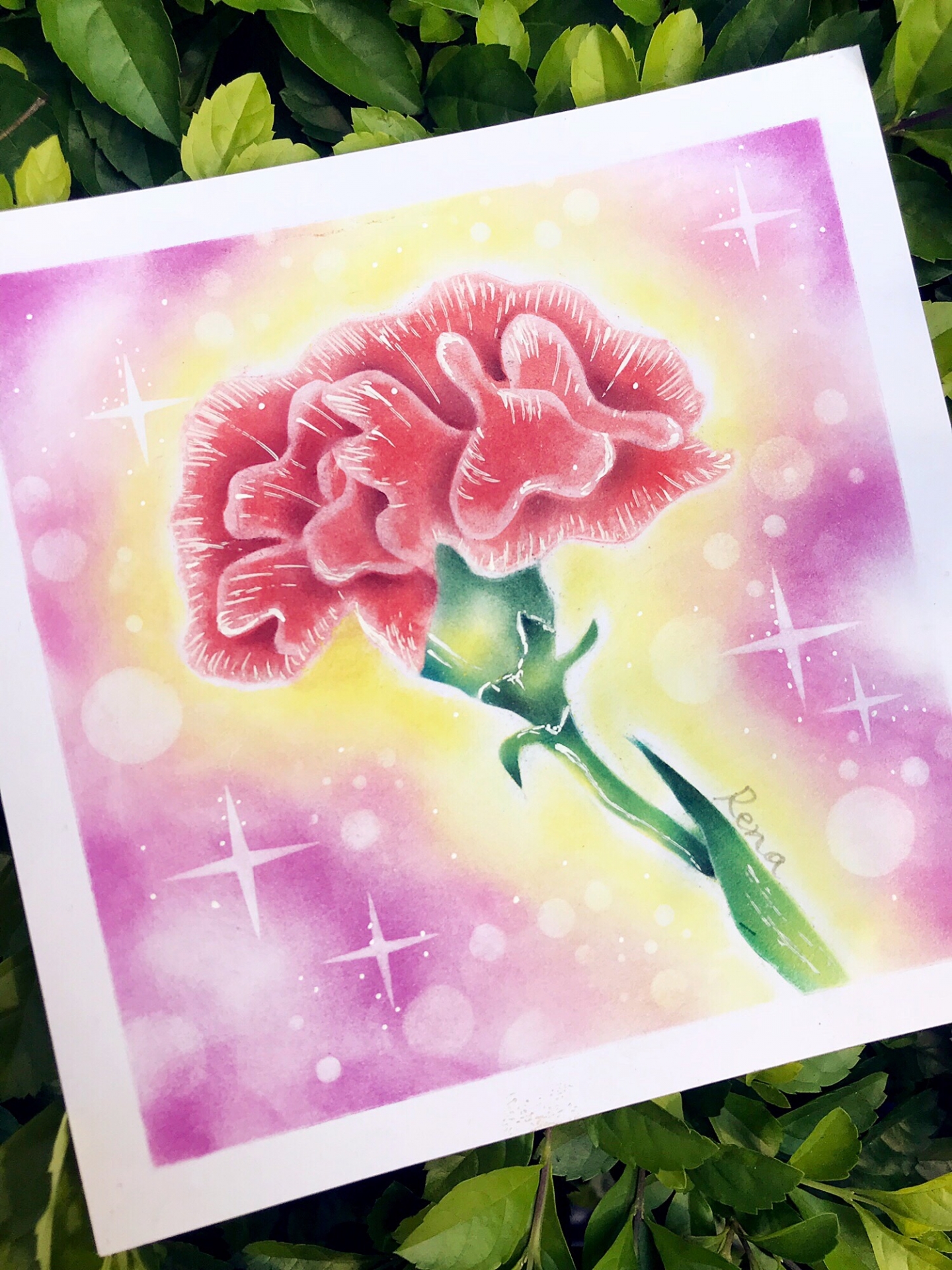 粉彩-禪繞舒心畫