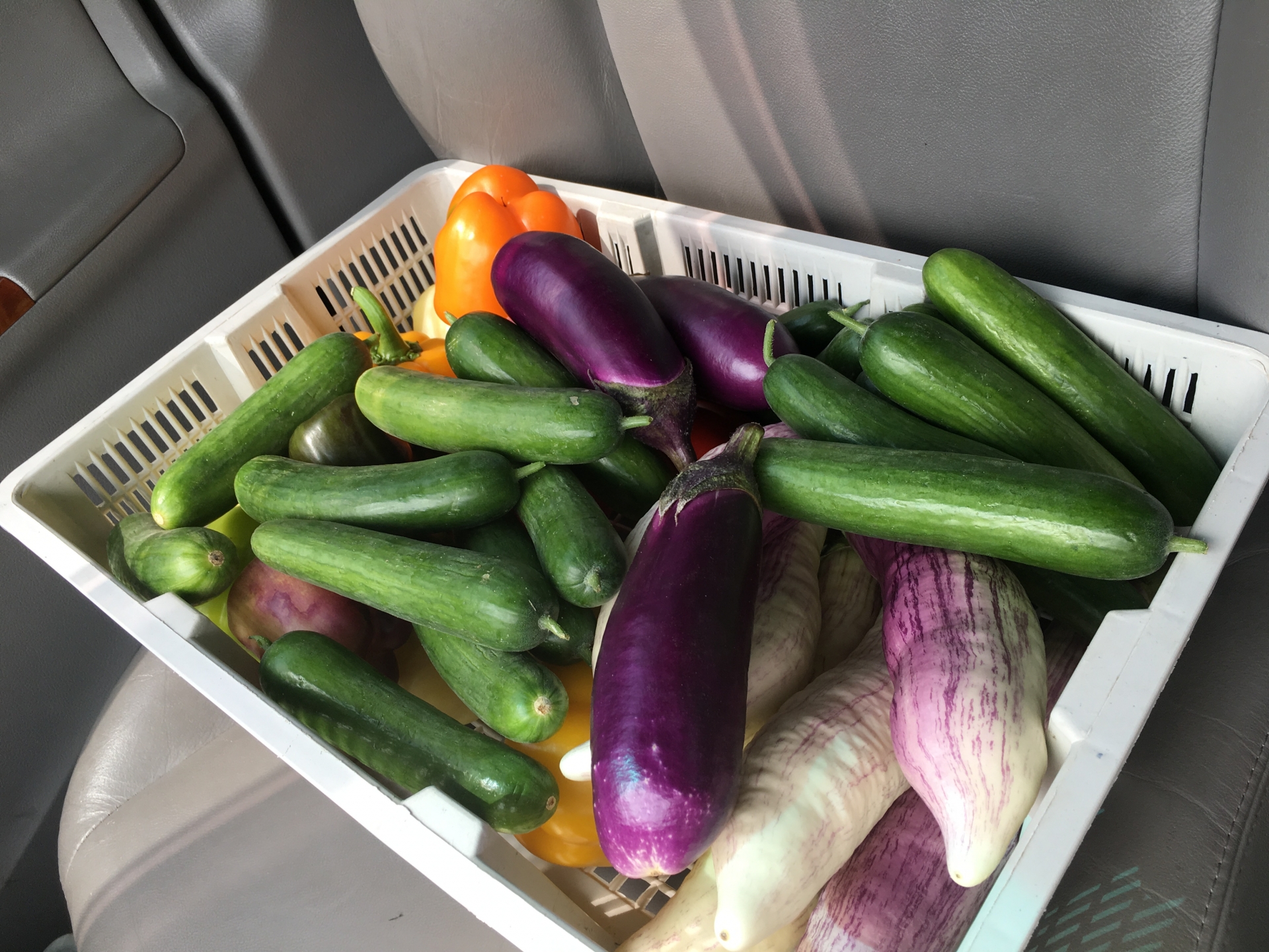 城市中的低碳綠生活-零廢棄生活習作