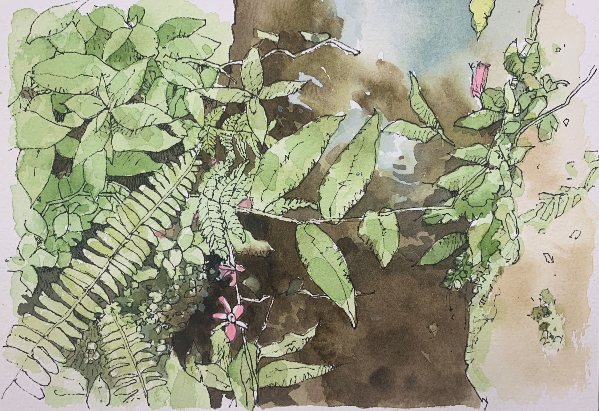 鋼筆淡彩-畫世界(上)