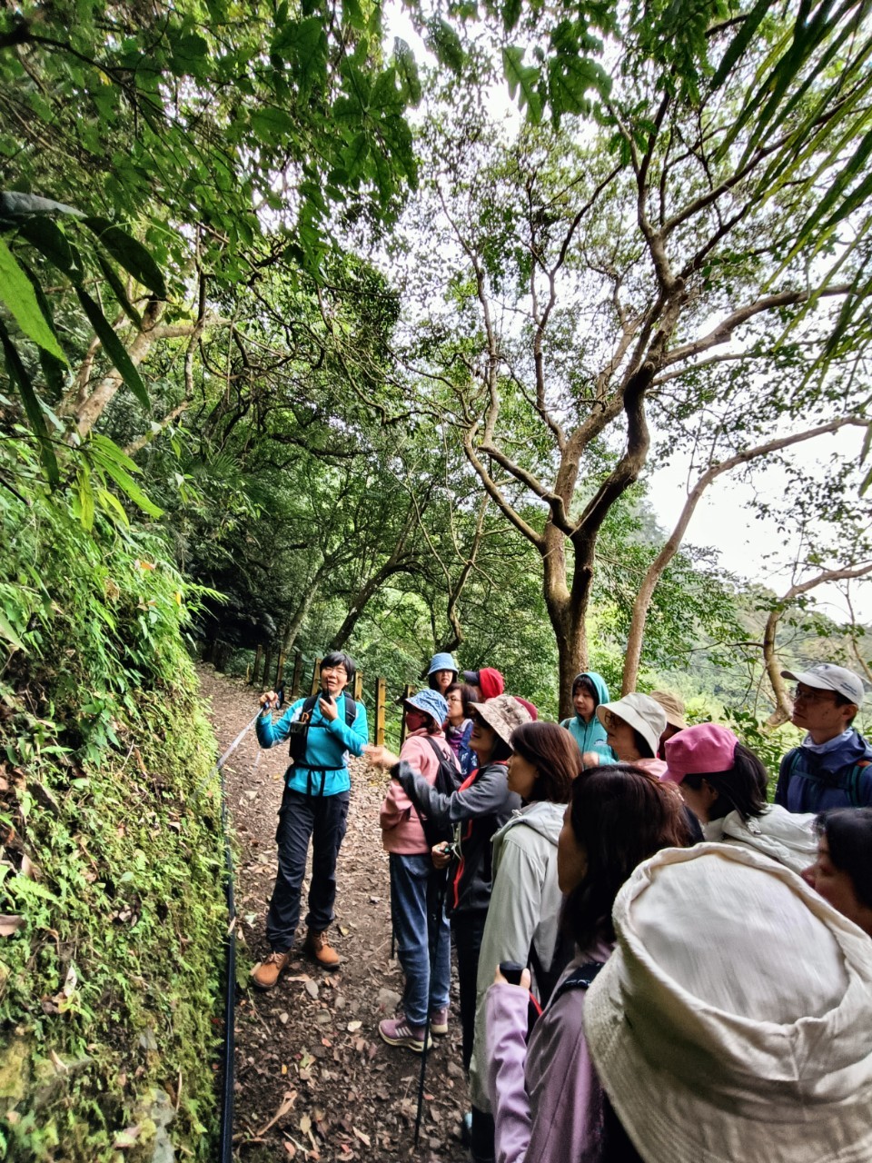 走讀山林-慢聊心旅行