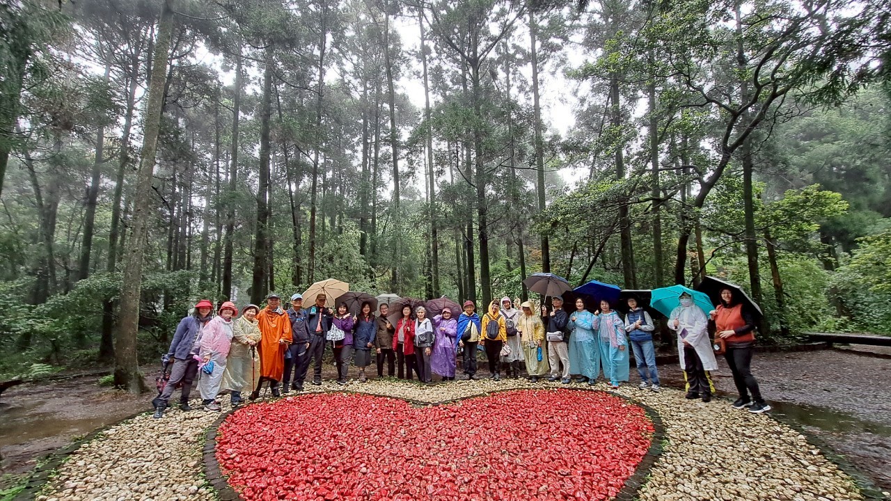 低碳輕旅行Candy帶你散步趣