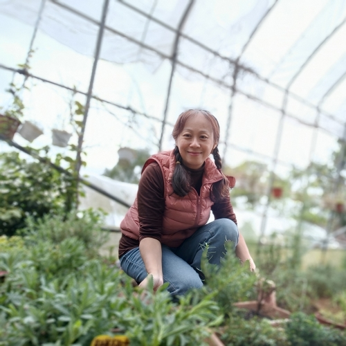 香草玩家樂趣多