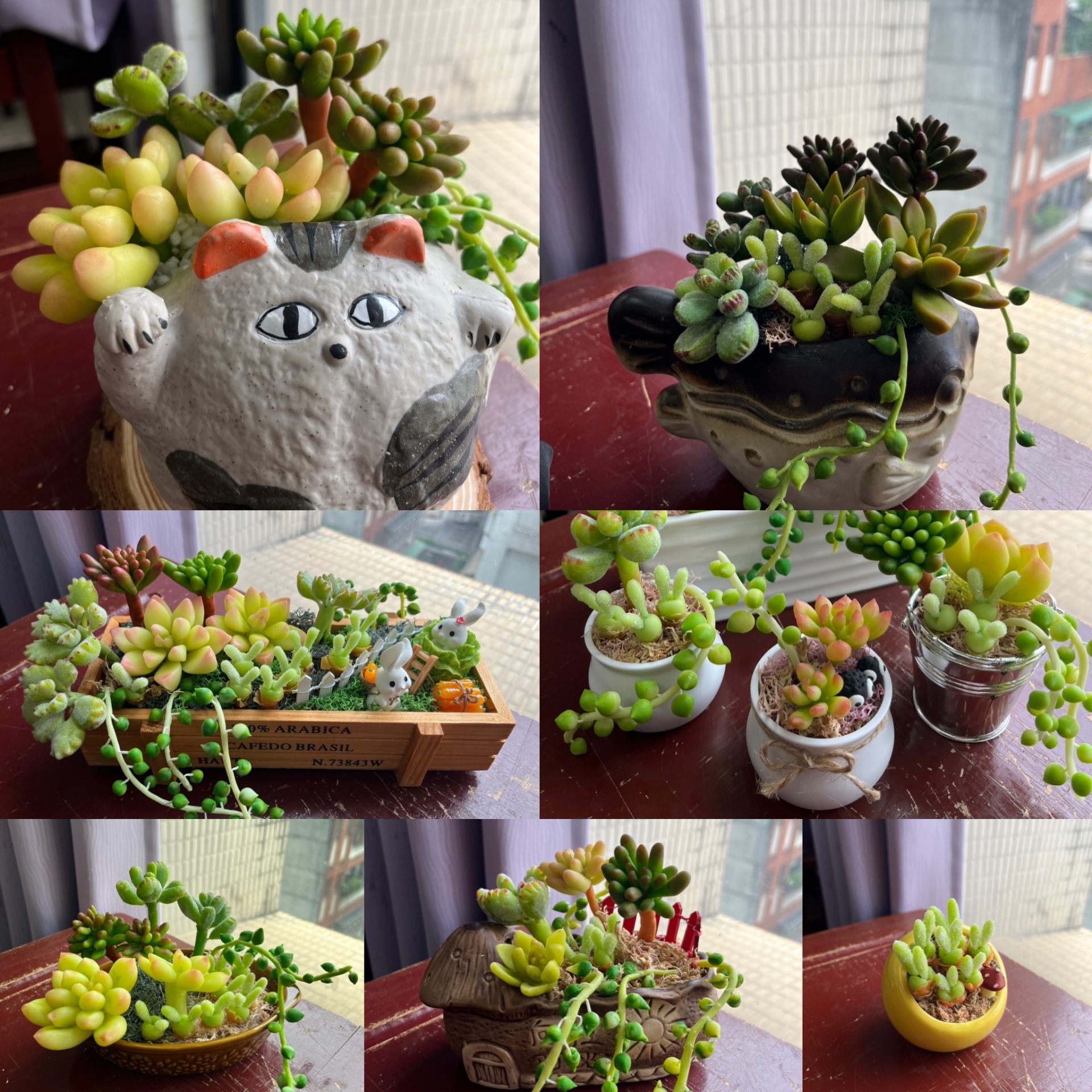 黏土捏塑-仿真多肉植物系列