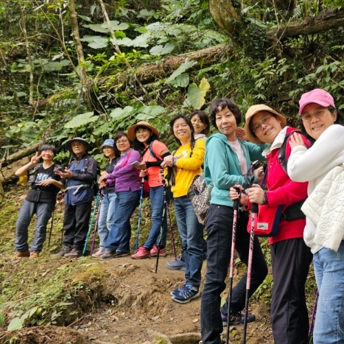 隨遇山林