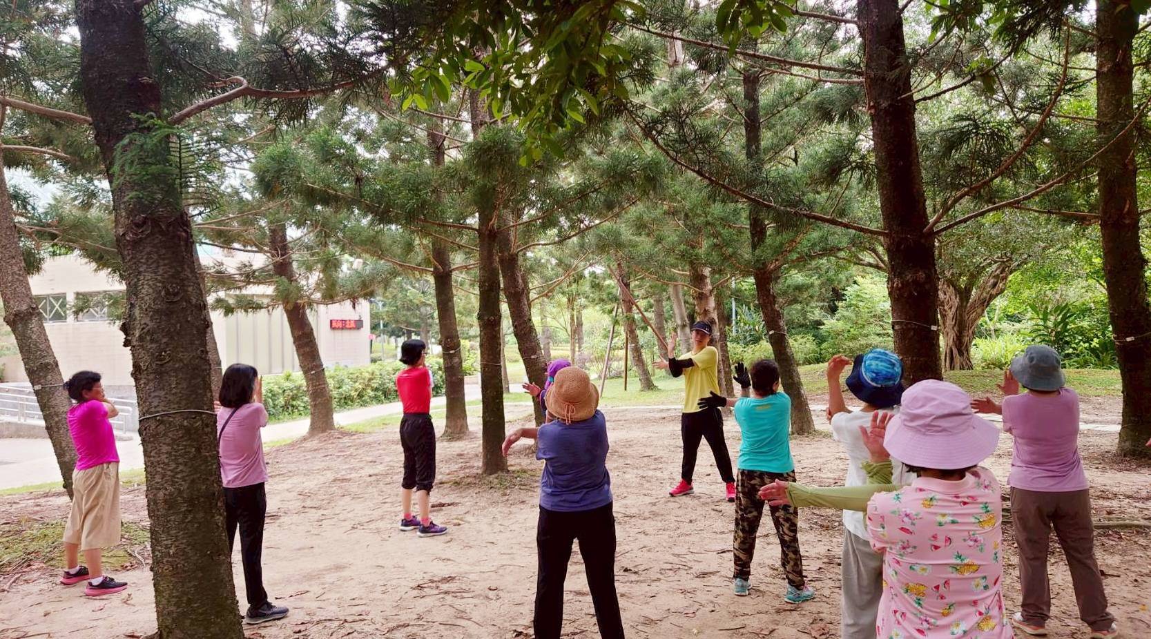 樂齡森活北歐式健走