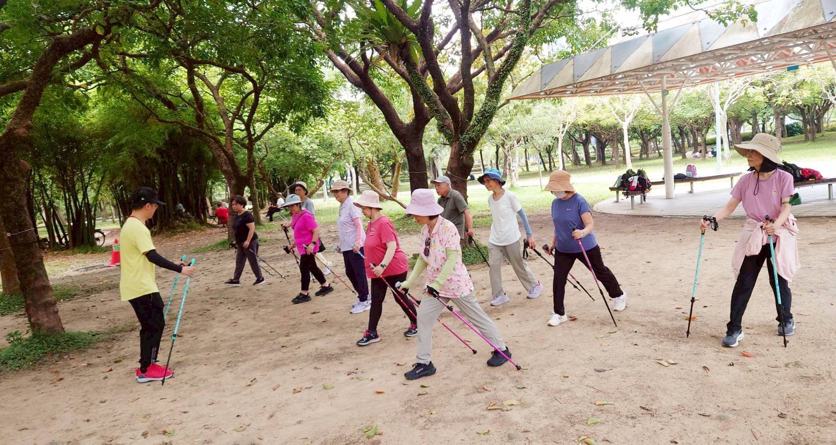 樂齡森活北歐式健走