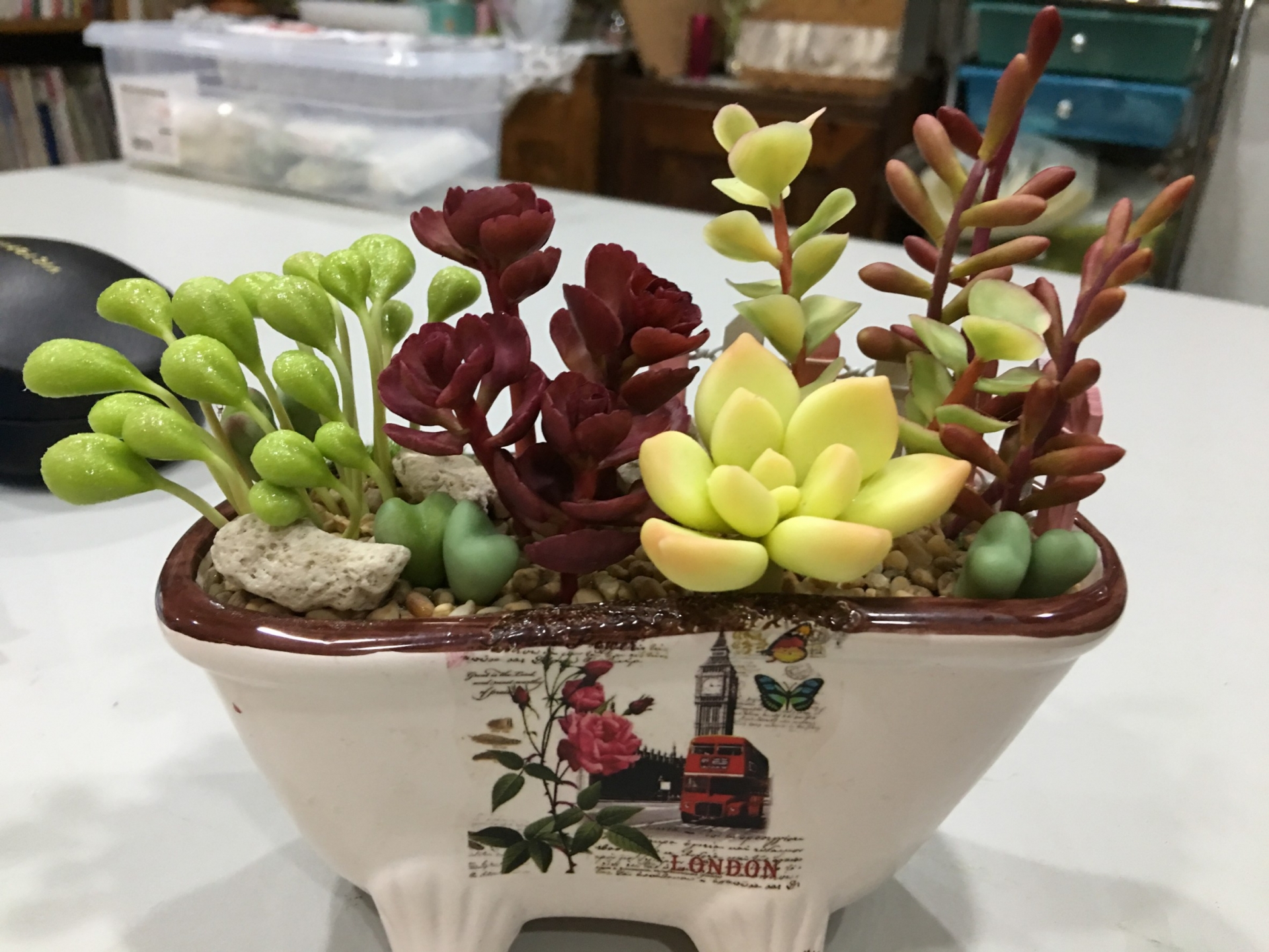 黏土捏塑-仿真多肉植物系列(六)