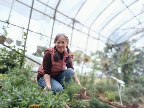 香草玩家樂趣多