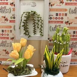 黏土捏塑-仿真迷你花卉系列