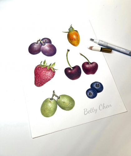 植物科學繪圖-色鉛筆