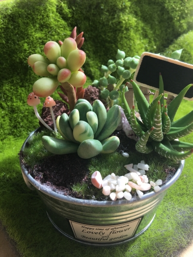 黏土捏塑-仿真多肉植物系列